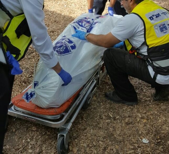 אילוסטרציה | צילום ארכיון: דוברות זק"א אילוסטרציה | צילום ארכיון: דוברות זק"א