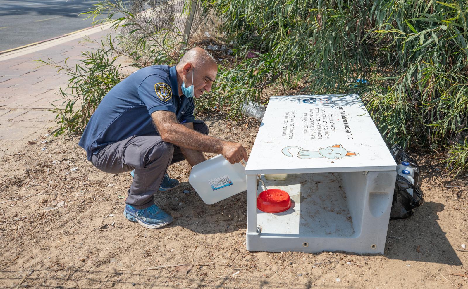 פינת האכלת חתולים| צילום: סיון מטודי פינת האכלת חתולים| צילום: סיון מטודי