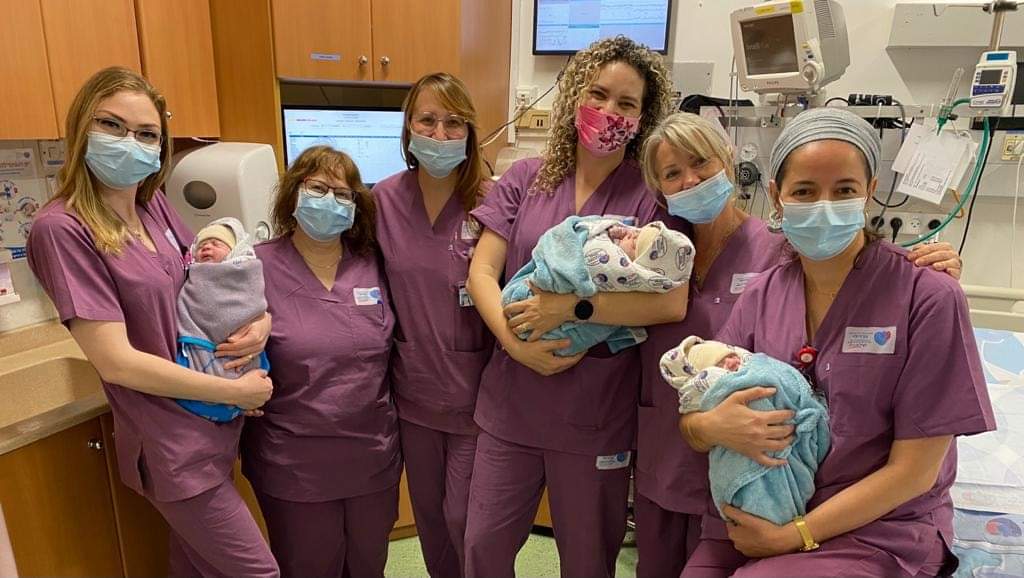 דוברות ברזילי