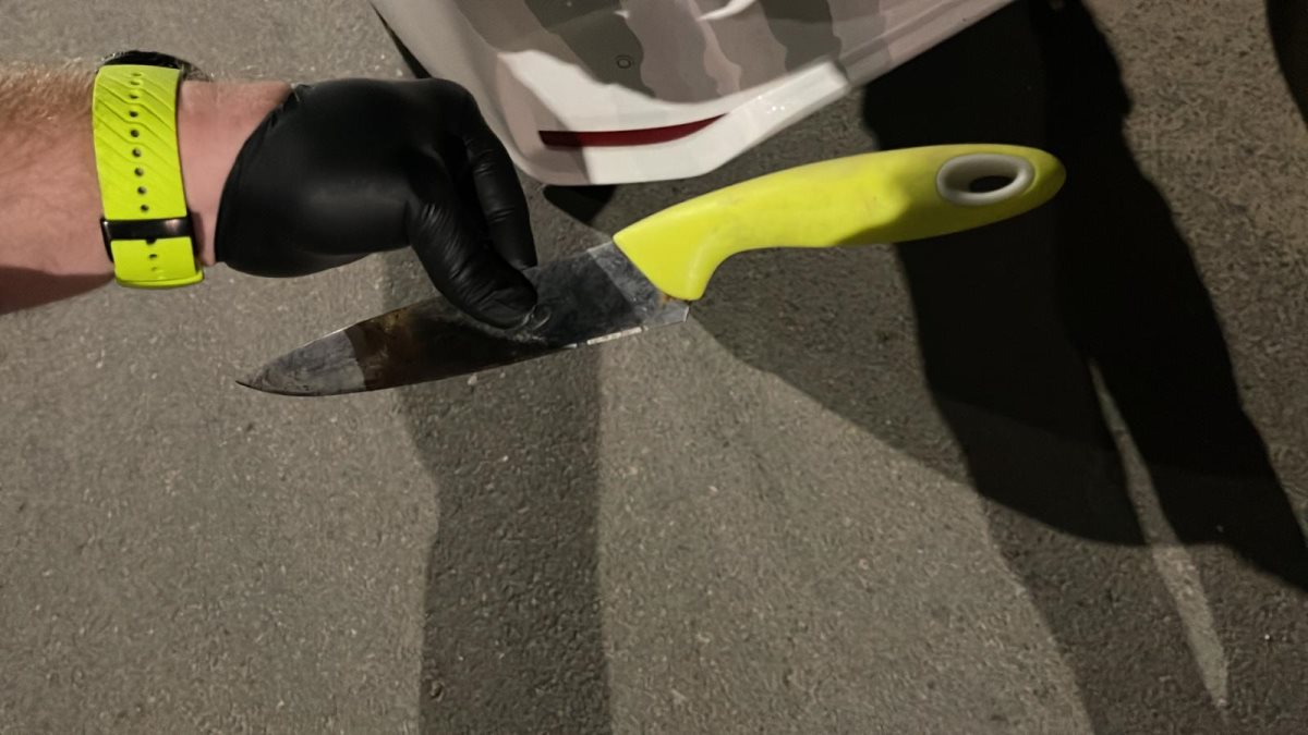 צילום: דוברות המשטרה צילום: דוברות המשטרה
